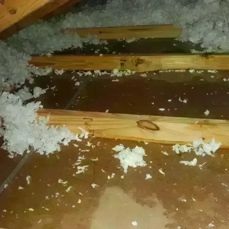 Attic Water Damage in Carson, CA