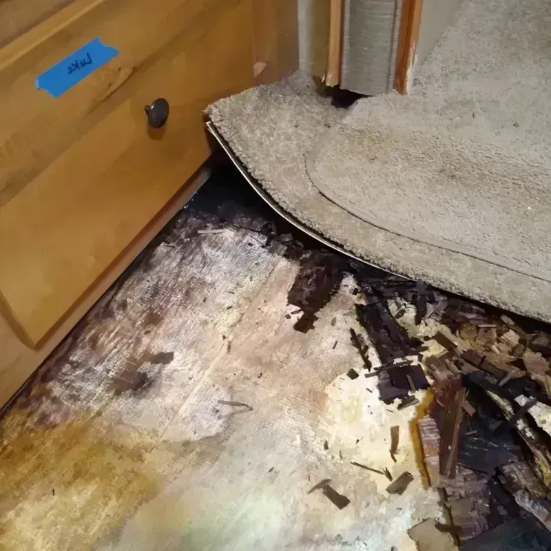 Wood Floor Water Damage in Carson, CA